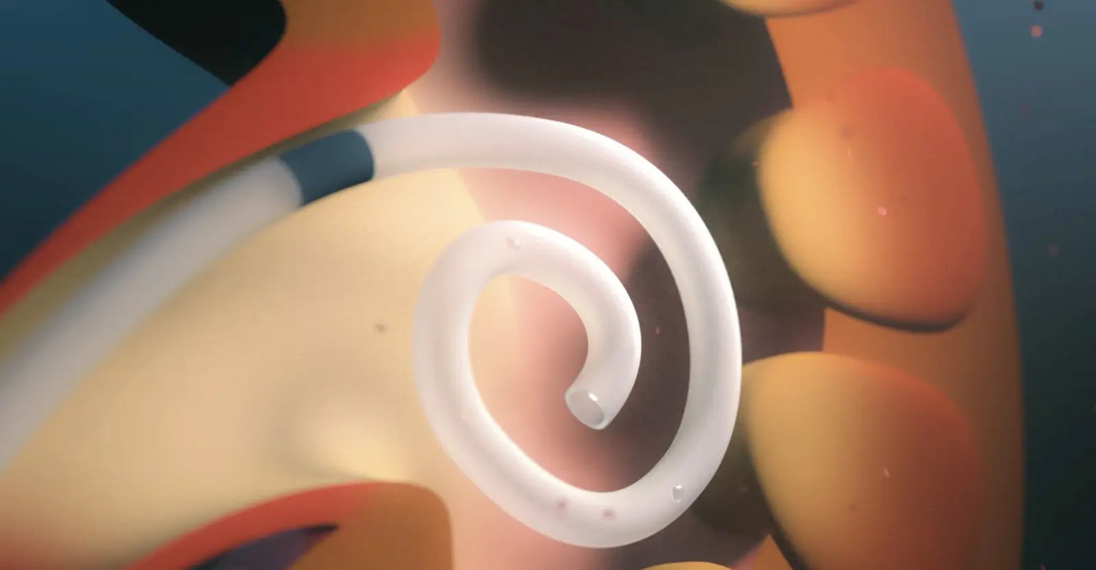 Screenshot 2024 08 13 at 12.21.34 1