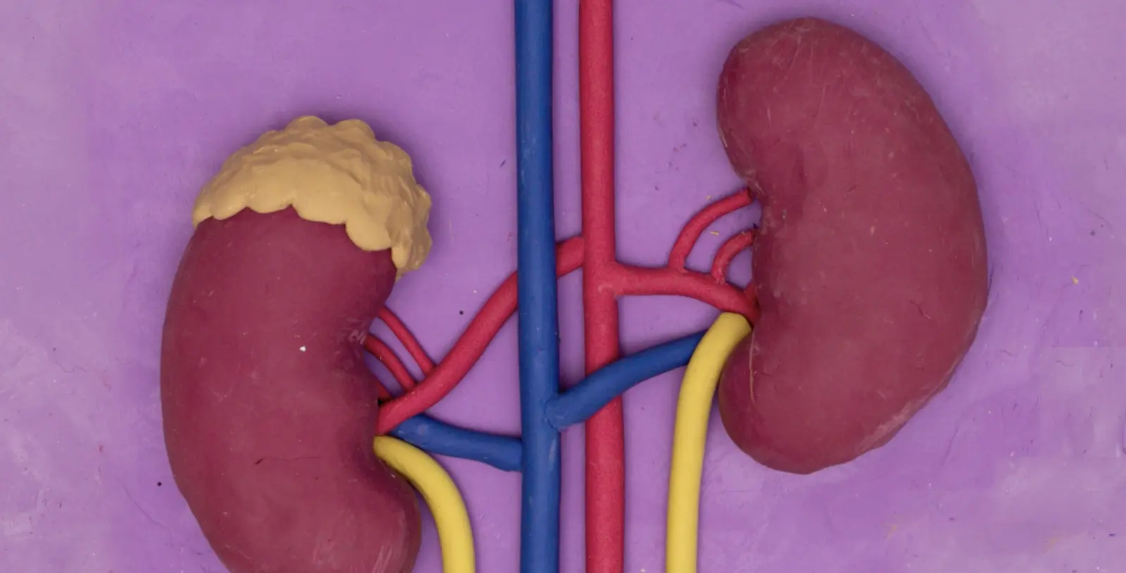 Screenshot 2024 08 13 at 12.21.41 1