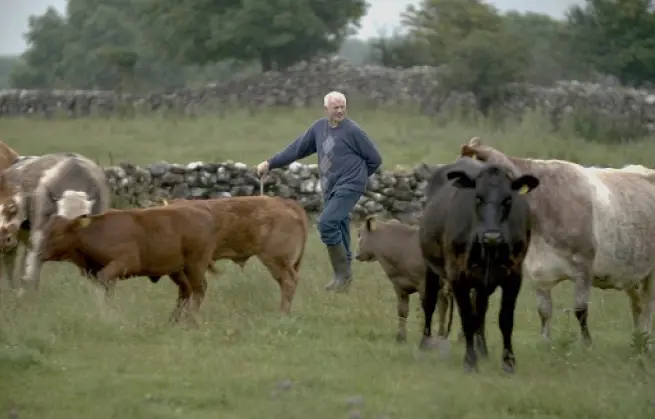 Screenshot 2024 08 13 at 12.21.34 1