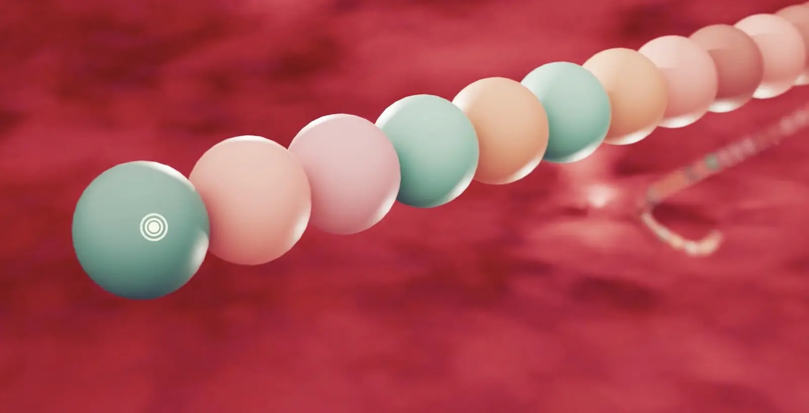 Screenshot 2024 08 13 at 12.21.34 1