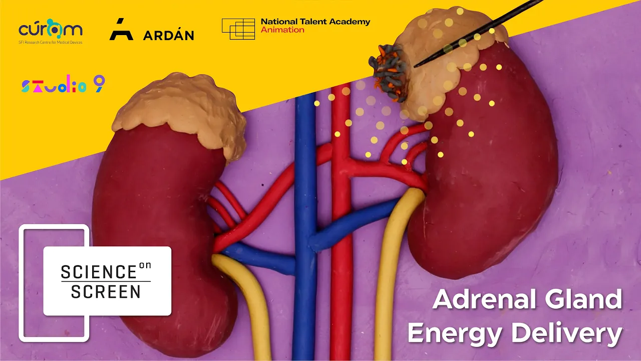 Screenshot 2024 08 13 at 12.21.34 1