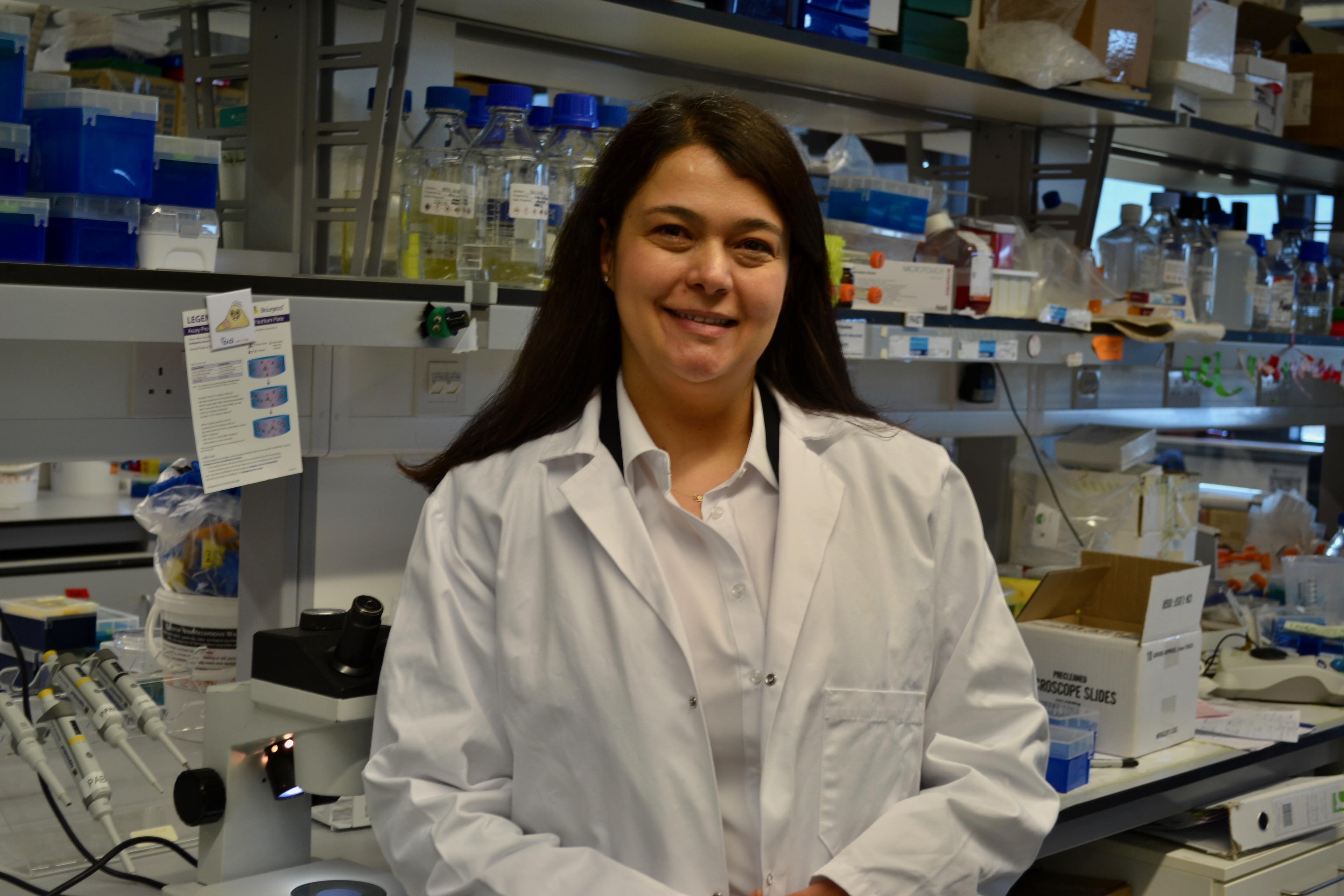 Secil Demir Jan 2026 Landscape