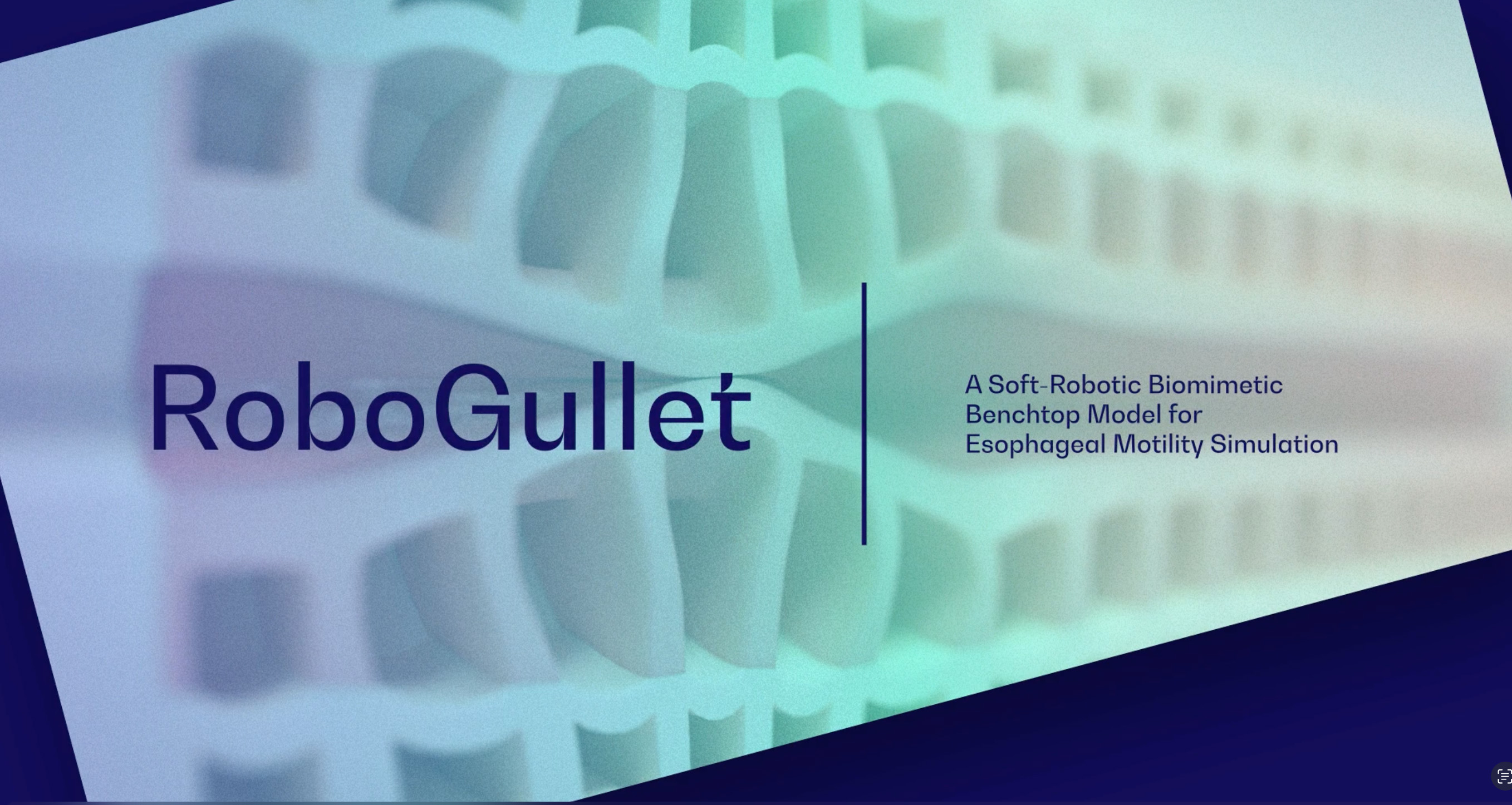Robogullet animation image