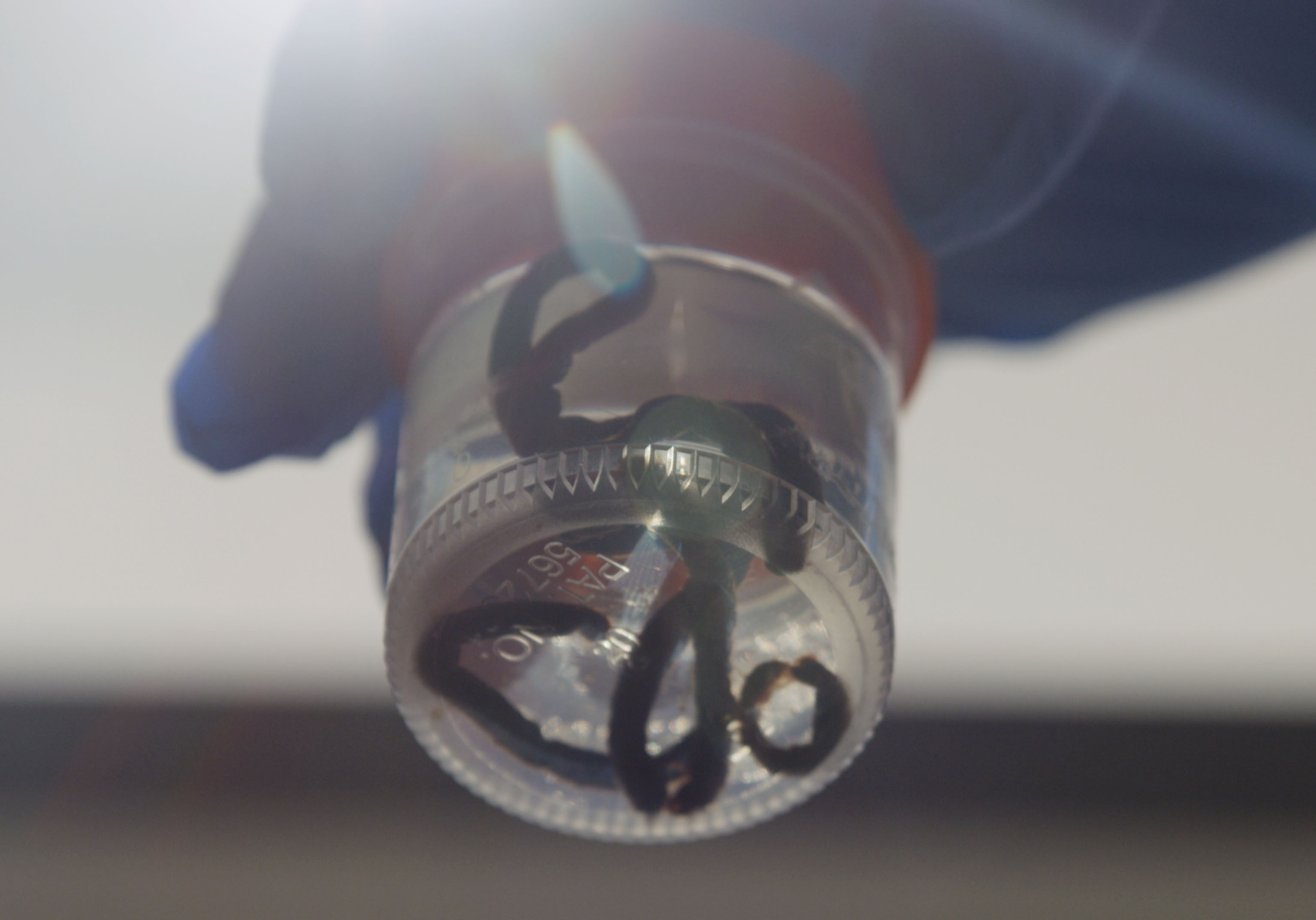A Tiny Spark Still clot sample