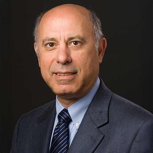 Dib Hajj